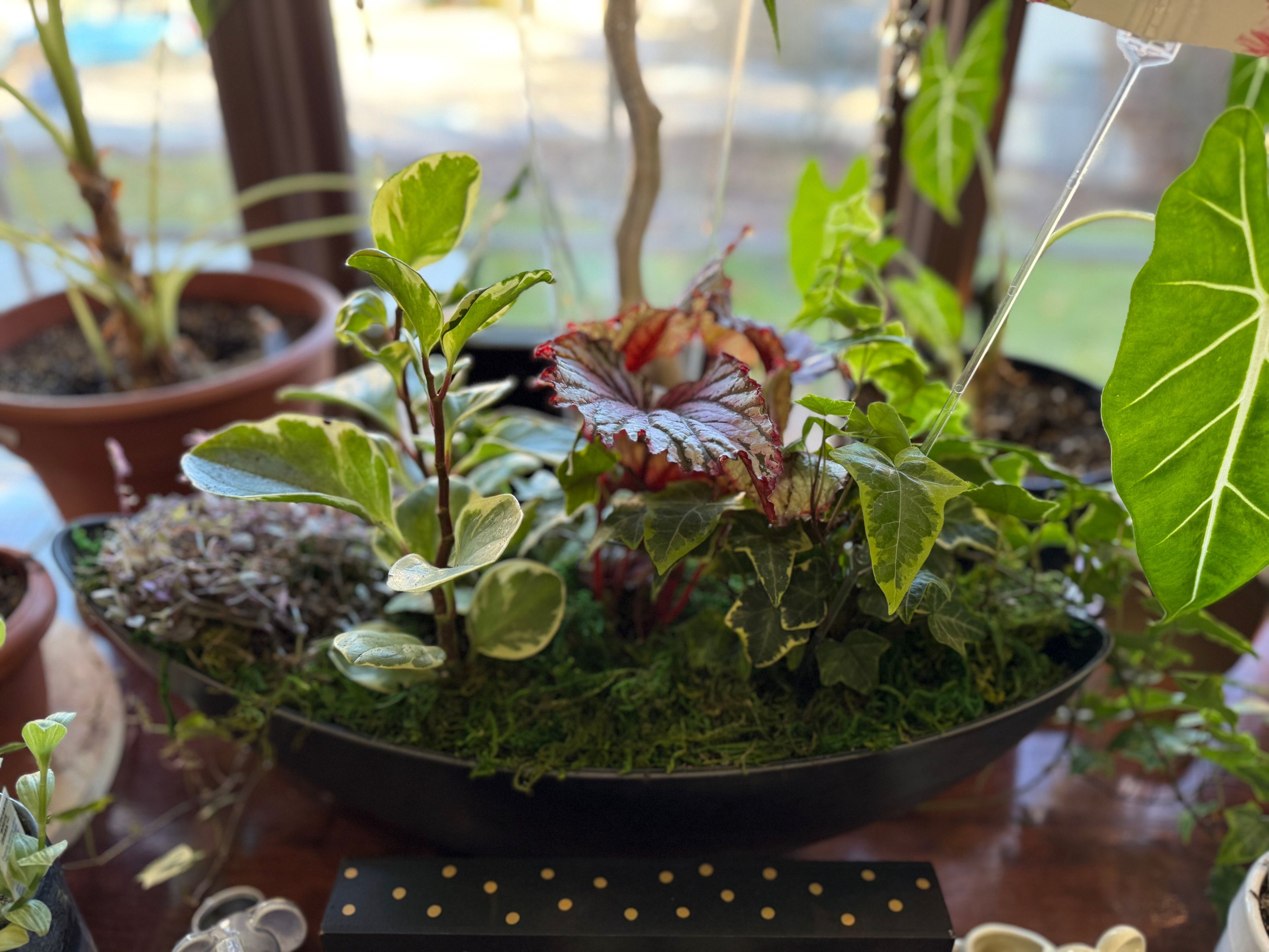Living Centerpiece