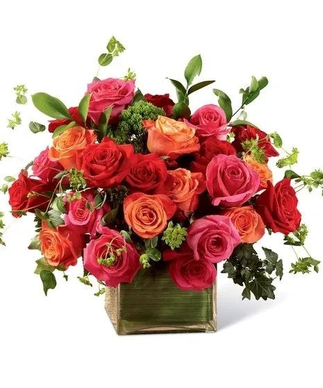 Roses - Red, Pink, Orange